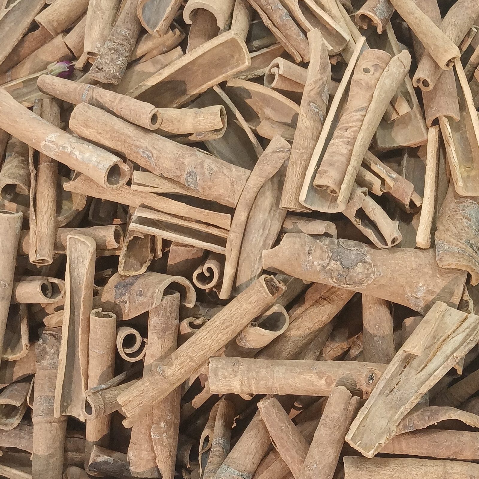 A pile of cinnamon sticks
