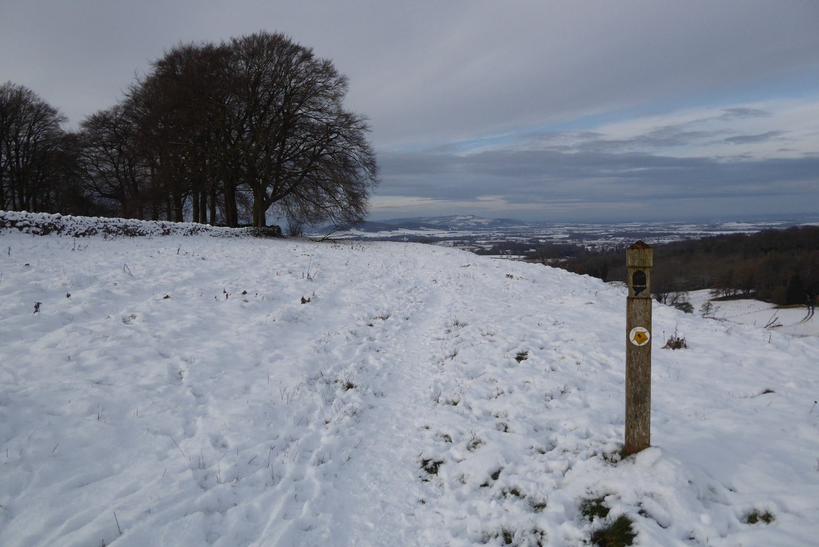 A snowy footpath along the Cotswold Way with trees on the skyline