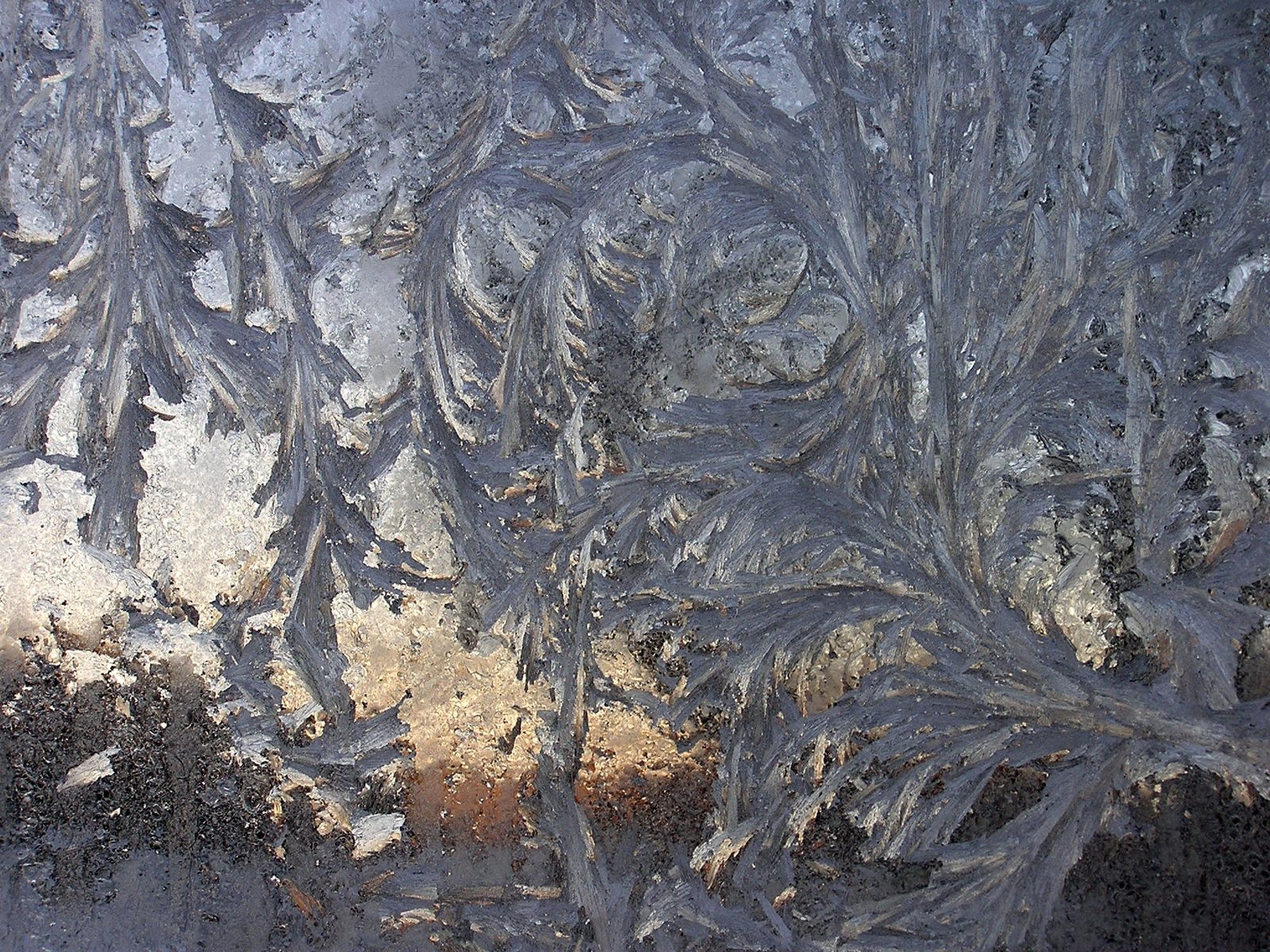 Feathery frost patterns on a window pane
